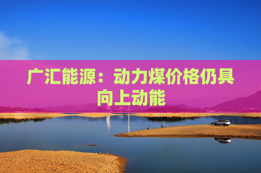 广汇能源：动力煤价格仍具向上动能