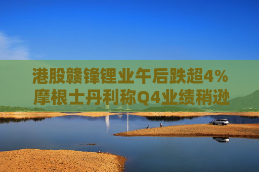 港股赣锋锂业午后跌超4% 摩根士丹利称Q4业绩稍逊预期