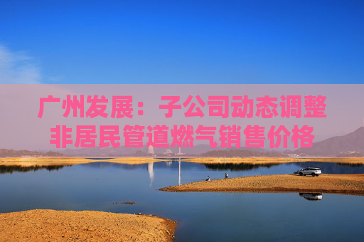 广州发展：子公司动态调整非居民管道燃气销售价格