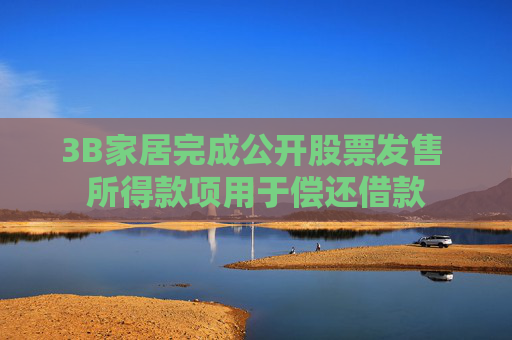 3B家居完成公开股票发售 所得款项用于偿还借款