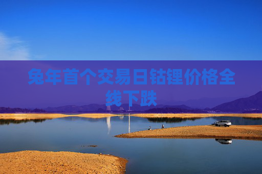 兔年首个交易日钴锂价格全线下跌