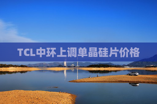 TCL中环上调单晶硅片价格