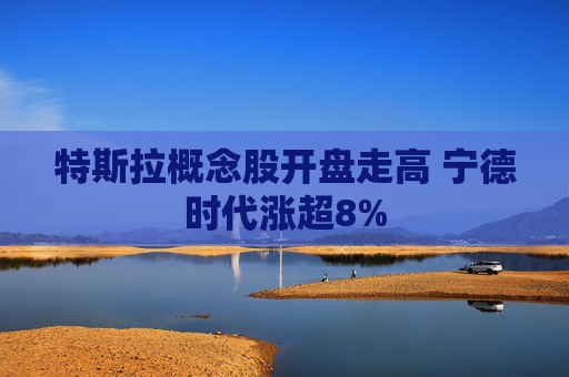 特斯拉概念股开盘走高 宁德时代涨超8%