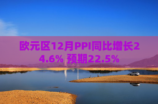 欧元区12月PPI同比增长24.6% 预期22.5%