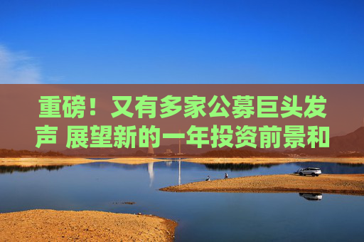 重磅！又有多家公募巨头发声 展望新的一年投资前景和趋势