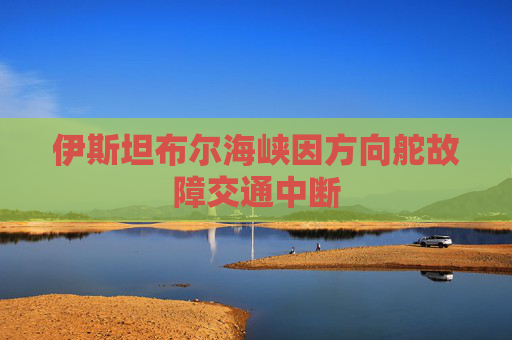 伊斯坦布尔海峡因方向舵故障交通中断