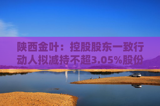 陕西金叶：控股股东一致行动人拟减持不超3.05%股份