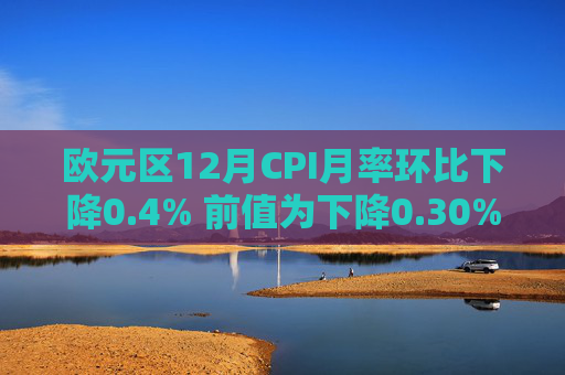 欧元区12月CPI月率环比下降0.4% 前值为下降0.30%