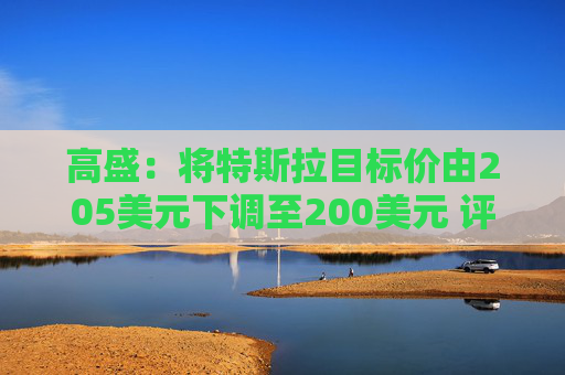 高盛：将特斯拉目标价由205美元下调至200美元 评级买入