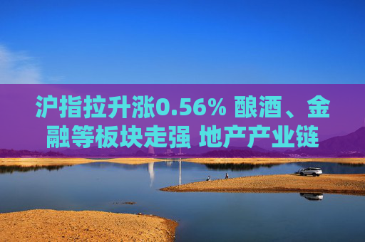 沪指拉升涨0.56% 酿酒、金融等板块走强 地产产业链股活跃