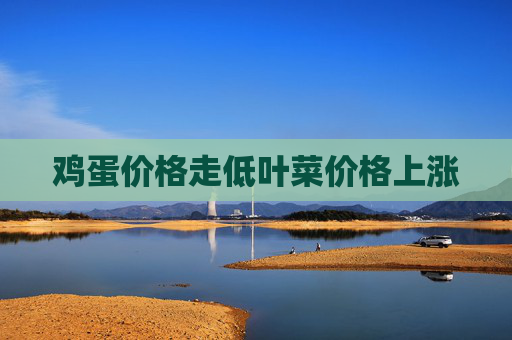 鸡蛋价格走低叶菜价格上涨