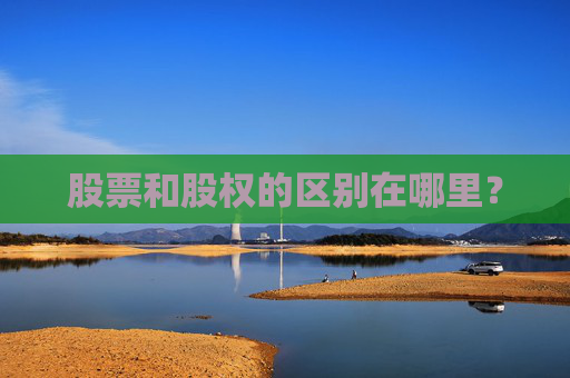 股票和股权的区别在哪里？