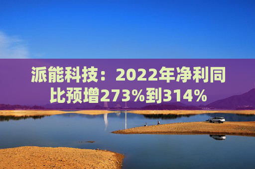 派能科技：2022年净利同比预增273%到314%