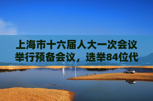 上海市十六届人大一次会议举行预备会议，选举84位代表为主席团成员
