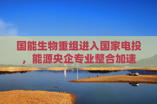 国能生物重组进入国家电投，能源央企专业整合加速