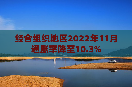 经合组织地区2022年11月通胀率降至10.3%