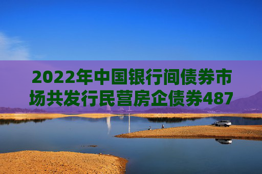 2022年中国银行间债券市场共发行民营房企债券487.2亿元 同比增24.4%