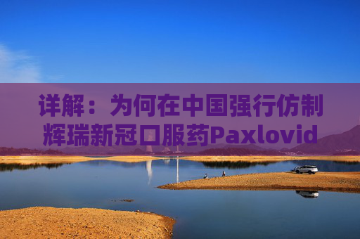 详解：为何在中国强行仿制辉瑞新冠口服药Paxlovid不可行