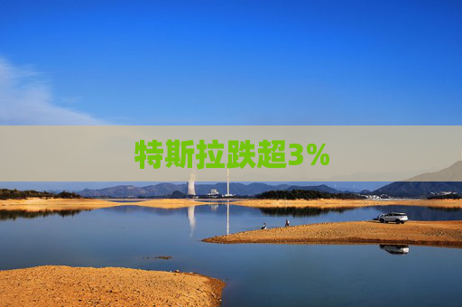 特斯拉跌超3%