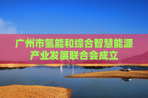 广州市氢能和综合智慧能源产业发展联合会成立