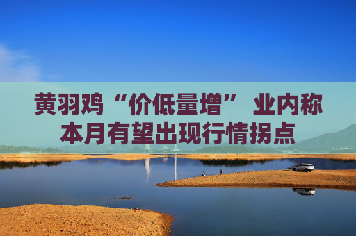 黄羽鸡“价低量增” 业内称本月有望出现行情拐点
