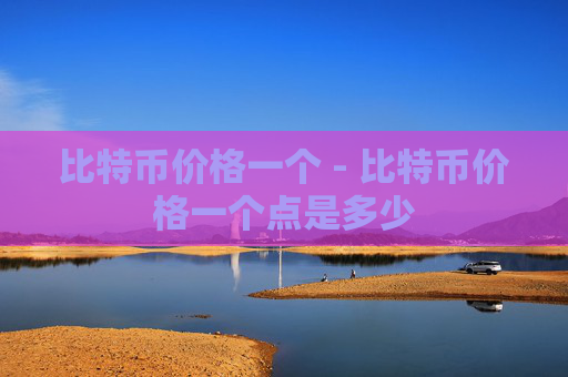 比特币价格一个 - 比特币价格一个点是多少
