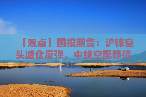 【观点】国投期货：沪锌空头减仓反弹，中线空配静待机会