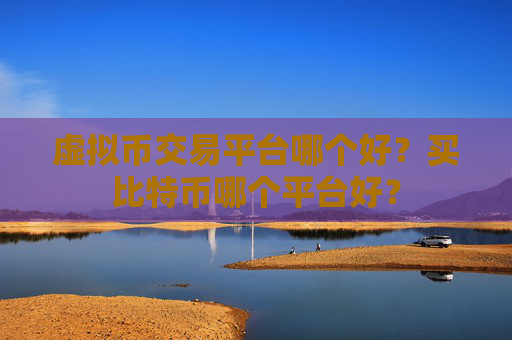 虚拟币交易平台哪个好？买比特币哪个平台好？