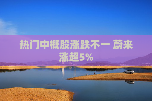 热门中概股涨跌不一 蔚来涨超5%
