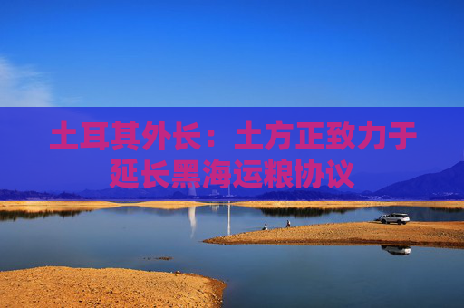 土耳其外长：土方正致力于延长黑海运粮协议