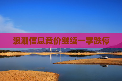 浪潮信息竞价继续一字跌停