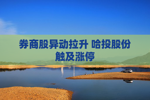 券商股异动拉升 哈投股份触及涨停