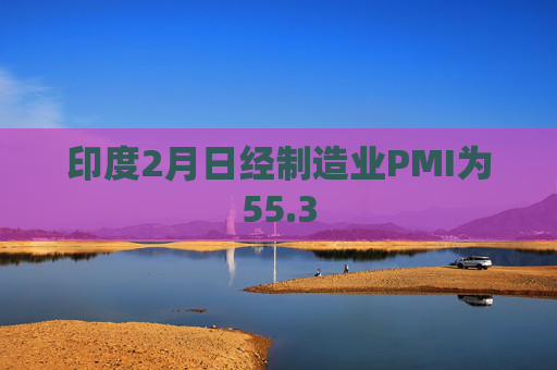 印度2月日经制造业PMI为55.3
