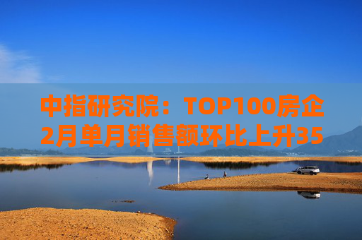 中指研究院：TOP100房企2月单月销售额环比上升35.1%