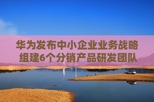华为发布中小企业业务战略 组建6个分销产品研发团队