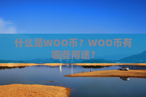 什么是WOO币？WOO币有哪些用途？