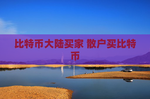 比特币大陆买家 散户买比特币