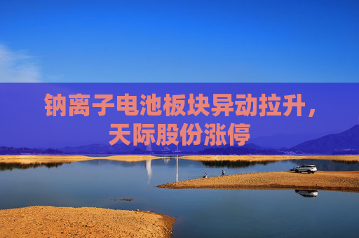 钠离子电池板块异动拉升，天际股份涨停