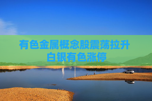有色金属概念股震荡拉升 白银有色涨停