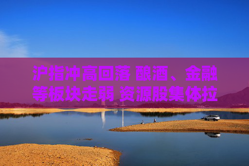 沪指冲高回落 酿酒、金融等板块走弱 资源股集体拉升