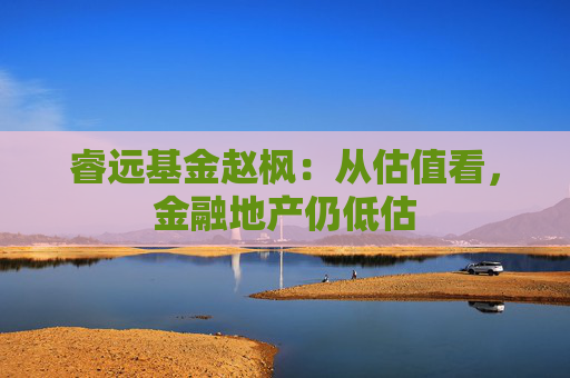 睿远基金赵枫：从估值看，金融地产仍低估