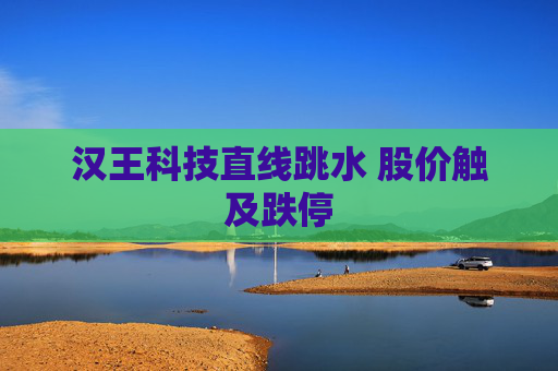 汉王科技直线跳水 股价触及跌停