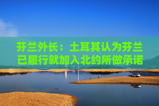 芬兰外长：土耳其认为芬兰已履行就加入北约所做承诺
