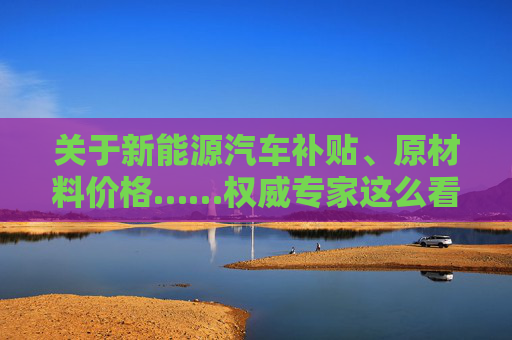 关于新能源汽车补贴、原材料价格……权威专家这么看！