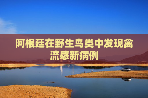 阿根廷在野生鸟类中发现禽流感新病例