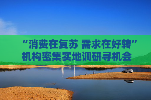 “消费在复苏 需求在好转” 机构密集实地调研寻机会