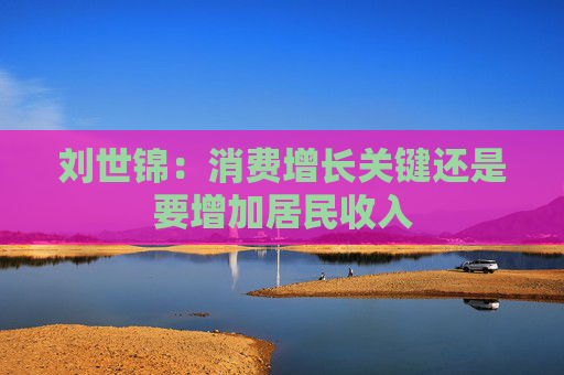 刘世锦：消费增长关键还是要增加居民收入