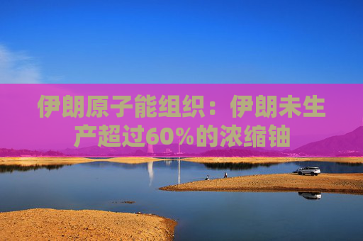伊朗原子能组织：伊朗未生产超过60%的浓缩铀