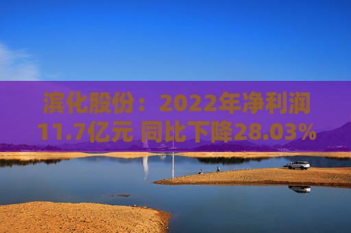 滨化股份：2022年净利润11.7亿元 同比下降28.03%