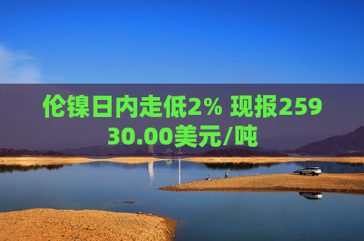 伦镍日内走低2% 现报25930.00美元/吨